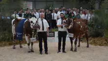 les championnes normandes avec les éleveurs du concours