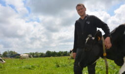 Julien Hindré et une vache