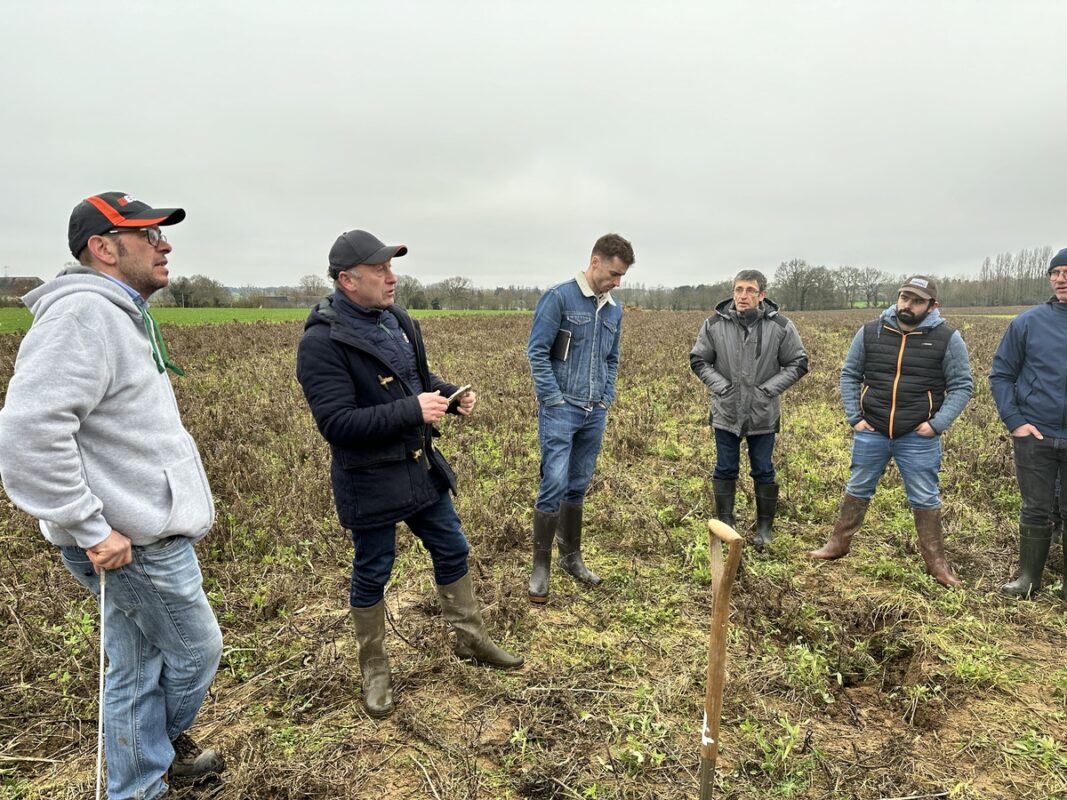 Visite de parcelles par un groupe d’agriculteurs lors d’une journée technique