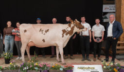 Des éleveurs autour de la Grande championne Pie Rouge Olympe P au salon agricole de Loudéac 2024