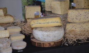 Ensemble de fromages