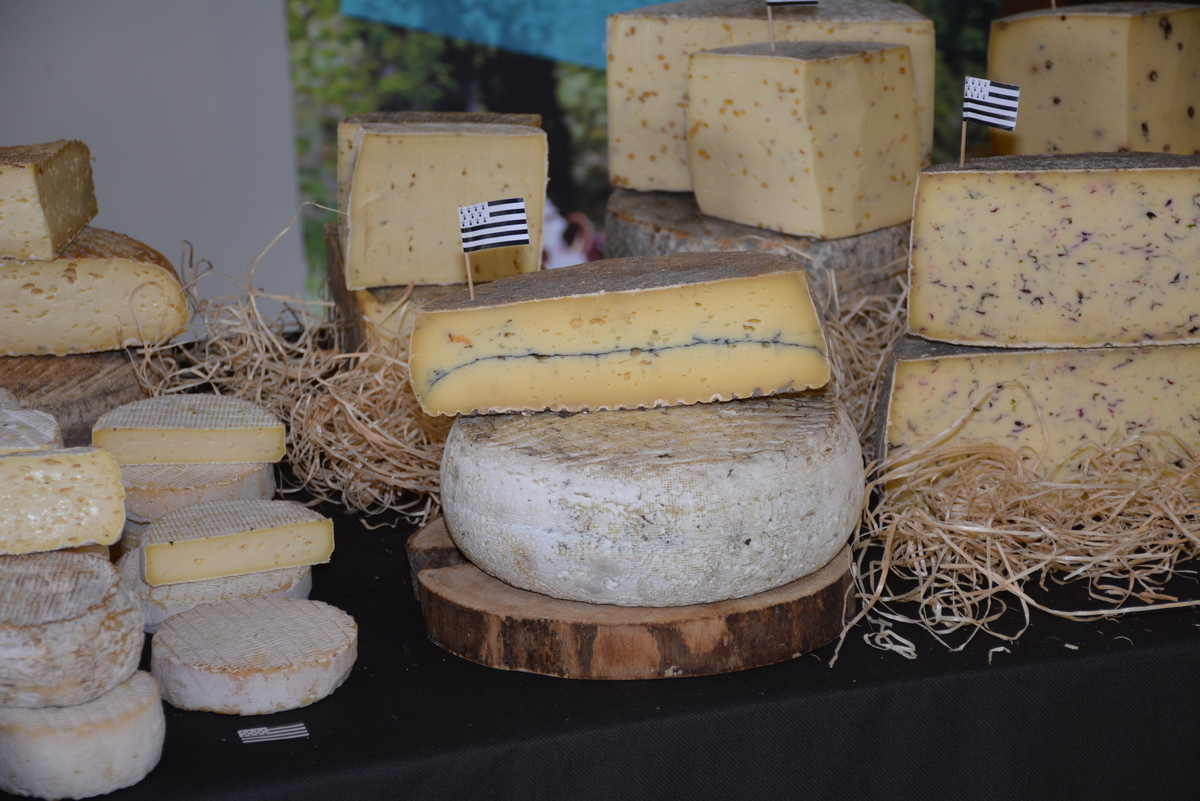 Ensemble de fromages - Illustration Vers la fin de l’autosuffisance laitière 