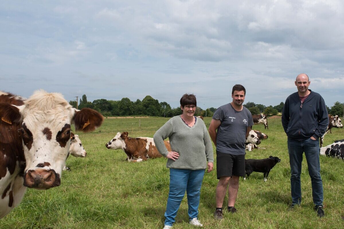 Les éleveurs Sylvie, Pierre et Xavier Le Moal dans une parcelle d'herbe avec leurs vaches Normandes. - Illustration Fraîche ou sèche, de l’herbe au menu