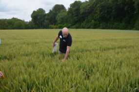 Philippe Lannuzel dans un champ de blé