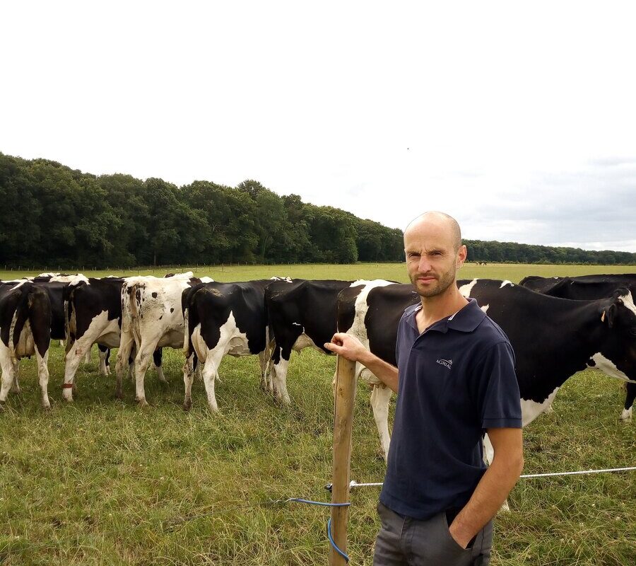 L'éleveur dans une des parcelles de pâturage avec les vaches - Illustration Les herbagers s’adaptent  au changement climatique