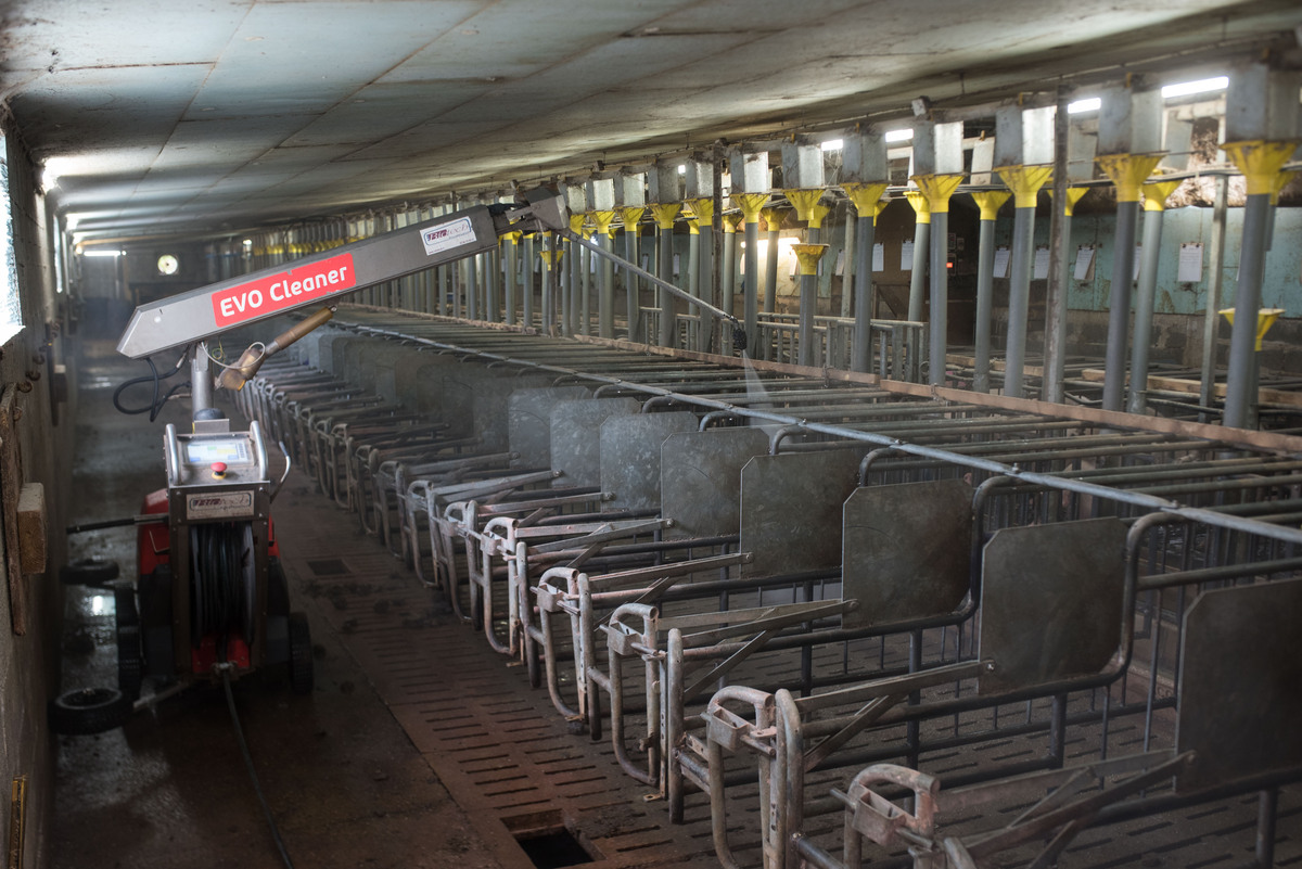 Un robot de lavage en action dans un salle d'un élevage porcin.  - Illustration Les robots Riton et Maurice ont vite trouvé leur place dans l’équipe