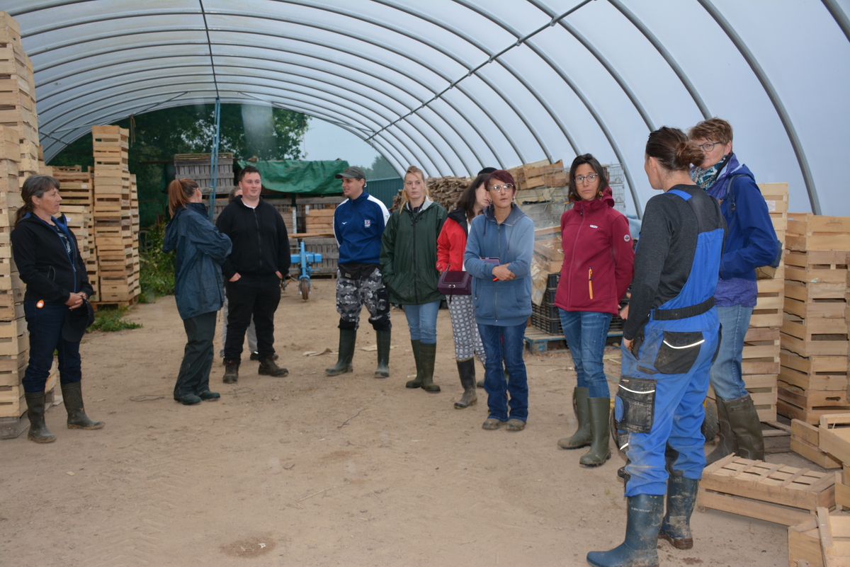 groupe de demandeurs d'emploi dans une serre - Illustration Le secteur agricole tente de séduire des demandeurs d’emploi