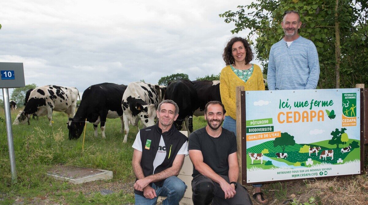 Des éleveurs près d'un panneau de ferme devant des vaches au pâturage.   - Illustration Le système herbager s’affiche en bord de route