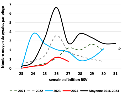 Diagramme sur l'évolution du nombre moyen de pyrales par piège selon l’année.