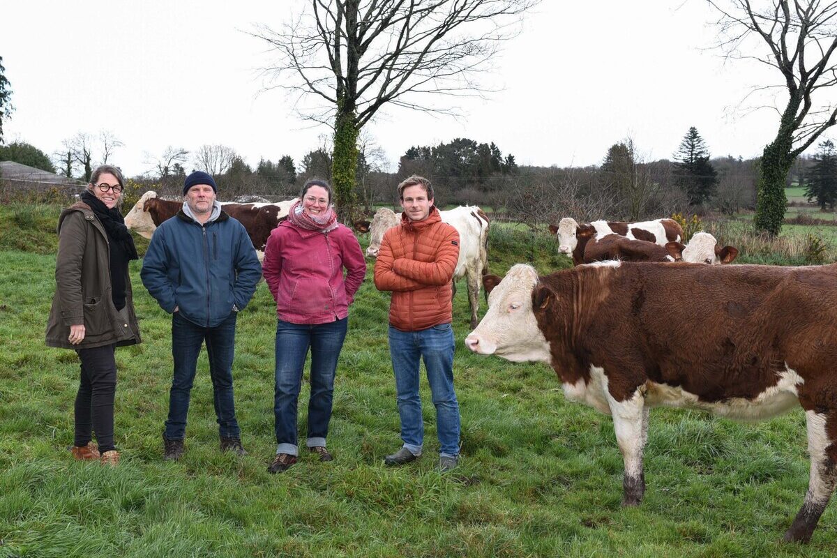 Quatre personnes dans un champ avec des vaches MOntbéliardes. - Illustration Histoire d’une installation express 