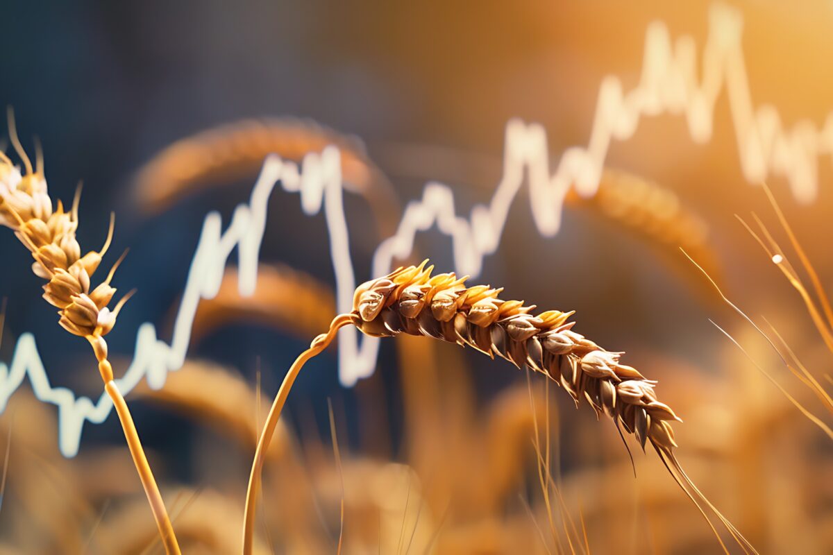 a line graph displaying a sudden decline in stock values with a wheat line. - Illustration Les devises en embuscade