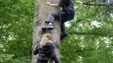 Deux jeunes filles grimpent le long d'un résineux