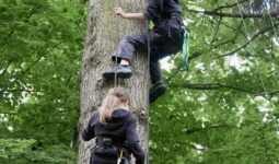 Deux jeunes filles grimpent le long d'un résineux