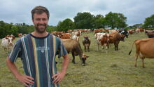 Baptiste Coent avec son troupeau de vache