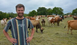 Baptiste Coent avec son troupeau de vache