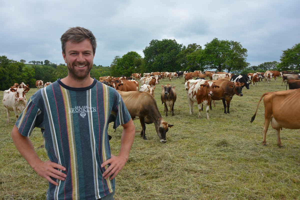 Baptiste Coent avec son troupeau de vache - Illustration Un festival d’activités pendant l’été