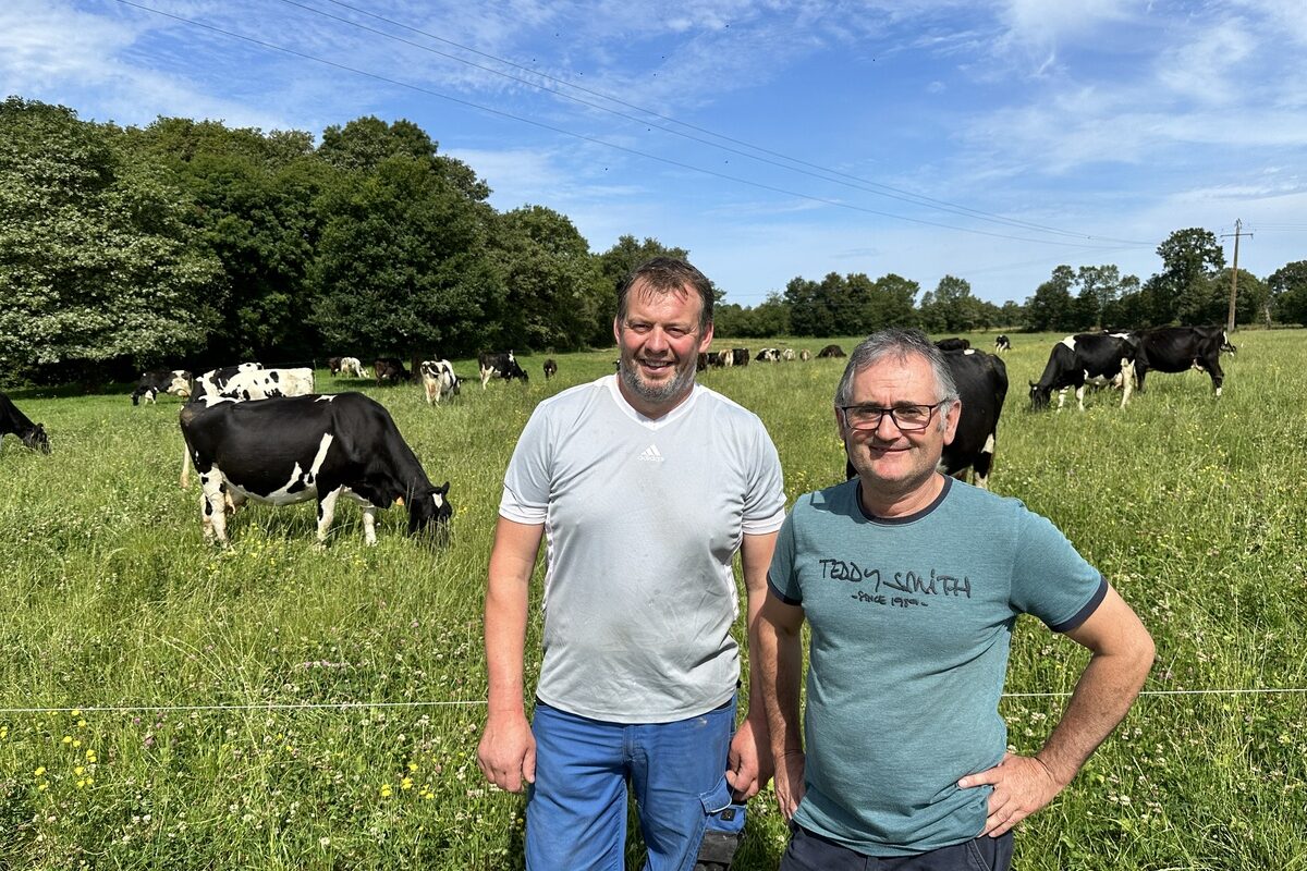 éleveurs devant prairies avec des vaches - Illustration Moins de lait, mais aussi moins de travail