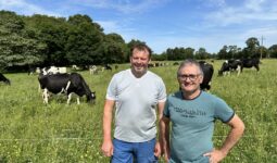 éleveurs devant prairies avec des vaches