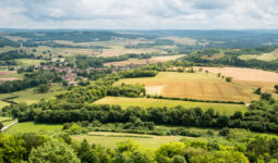 Paysage de bocage