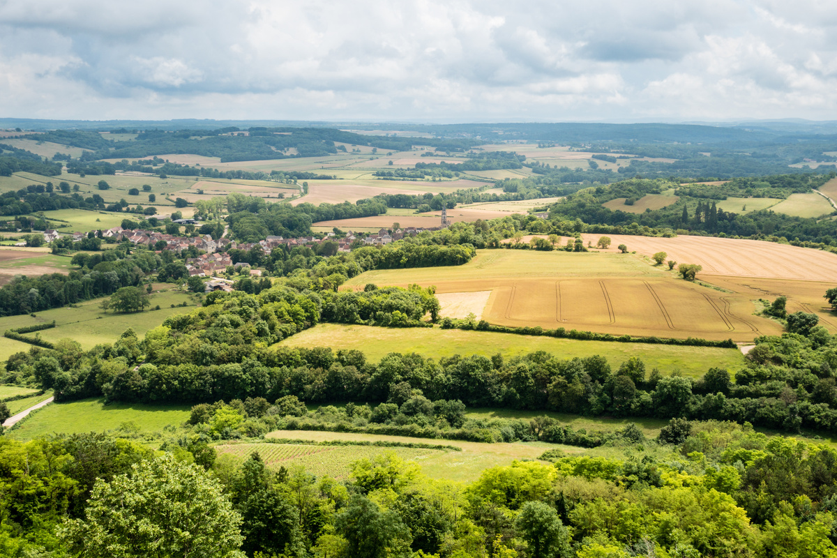 Paysage de bocage - Illustration Alléger l’empreinte carbone des exploitations