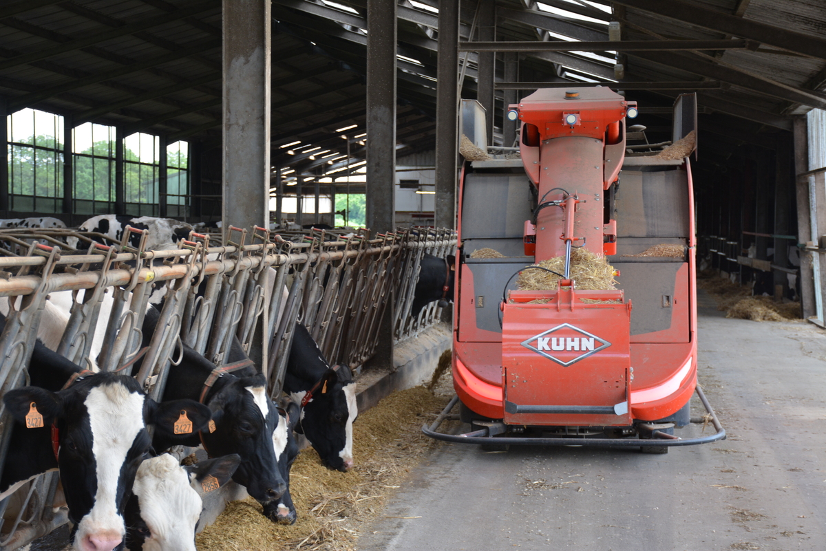 Un robot d'alimentation autonome distribue une ration à des vaches