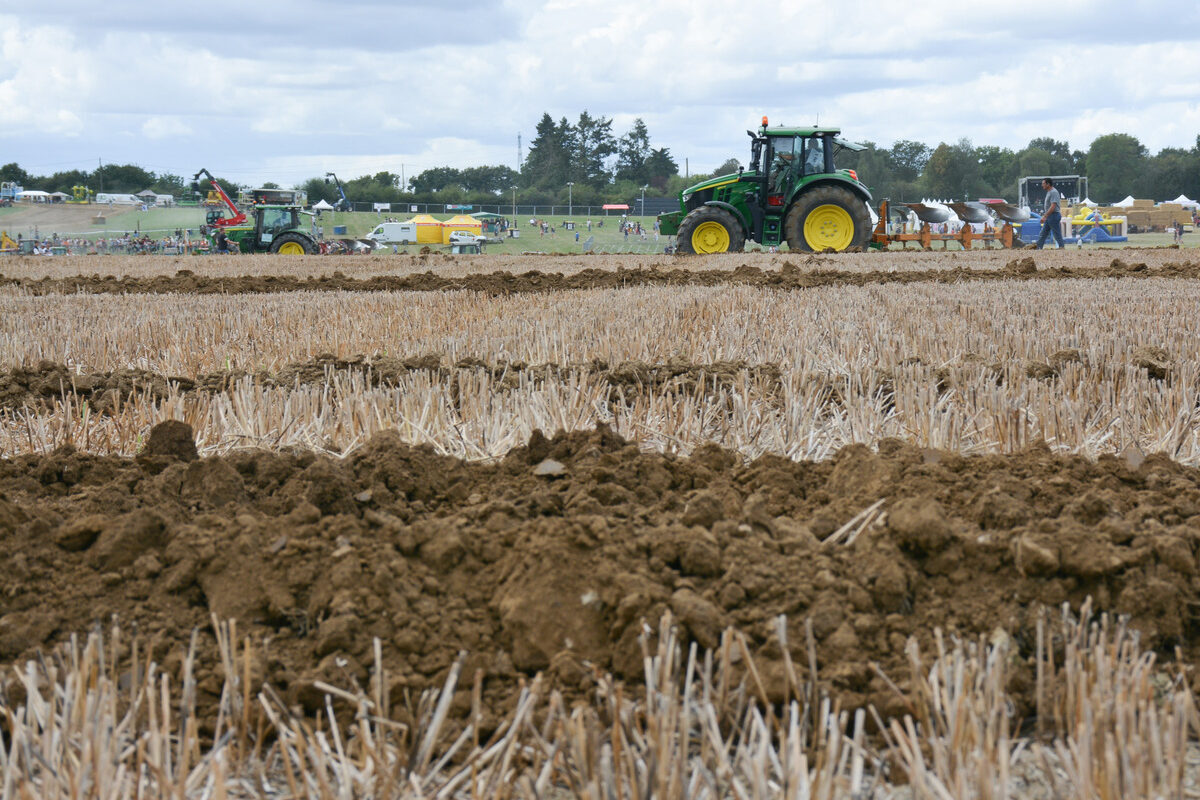 Concours de labour - Illustration La fête de l’agriculture est prête à battre son plein