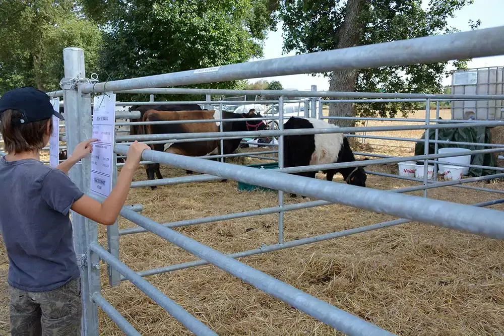 mini-ferme pendant une fête de l'agriculture