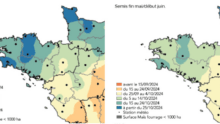 Carte des dates prévisionnelles de récolte du maïs fourrage pour 2024 en Bretagne