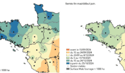 Carte des dates prévisionnelles de récolte du maïs fourrage pour 2024 en Bretagne