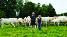 Les éleveurs dans une parcelle de pâturage avec les Charolaises