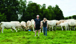 Les éleveurs dans une parcelle de pâturage avec les Charolaises