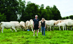 Les éleveurs dans une parcelle de pâturage avec les Charolaises