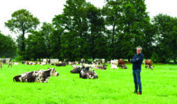 L'éleveur avec ses vaches au pâturage