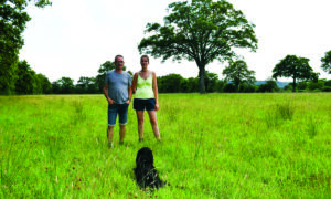 Les éleveurs dans une parcelle avec leur chien et un arbre dans le fond