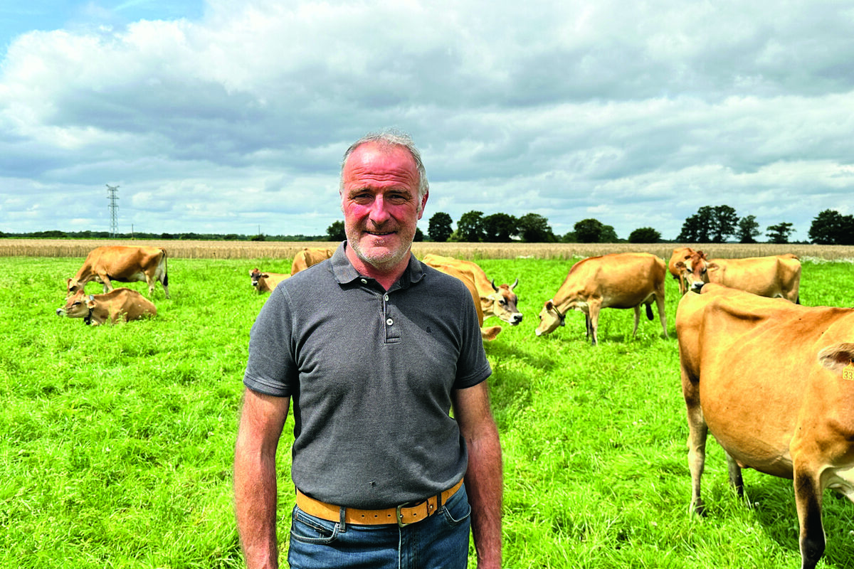 Agriculteurs dans une prairie avec des jersiaises - Illustration Les Jersiaises ont chassé les Prim’