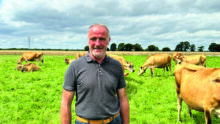 Agriculteurs dans une prairie avec des jersiaises