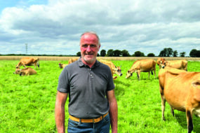 Agriculteurs dans une prairie avec des jersiaises