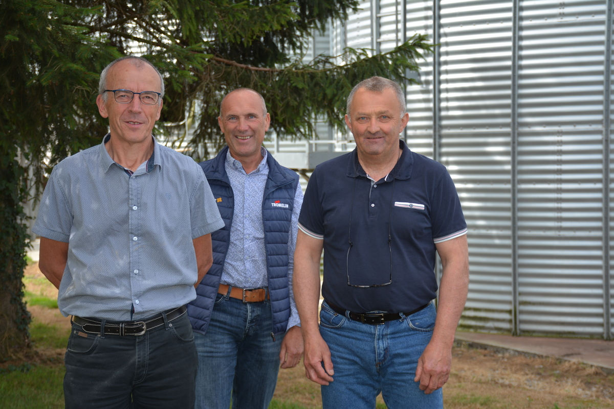 3 personnes devant une cellule de stocakge de blé - Illustration La féverole extrudée remplace le tourteau de soja