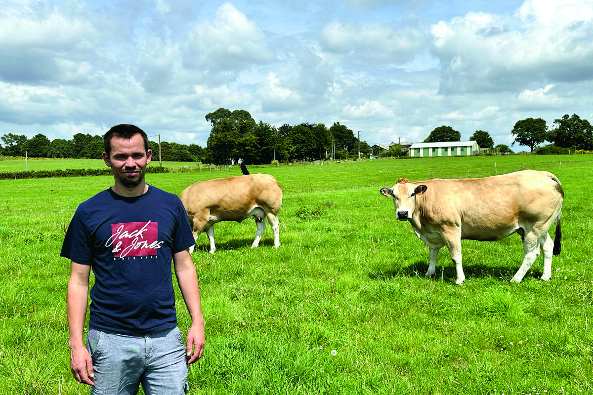 Agriculteurs dans une prairie avec des vaches Parthenaises - Illustration La Parthenaise trouve sa place en Bretagne