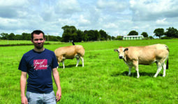 Agriculteurs dans une prairie avec des vaches Parthenaises