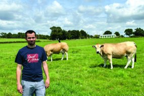 Agriculteurs dans une prairie avec des vaches Parthenaises