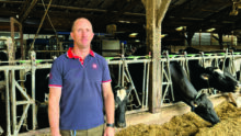 agriculteur devant stabulation avec vaches