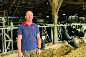 agriculteur devant stabulation avec vaches