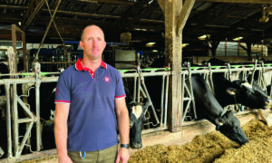 agriculteur devant stabulation avec vaches