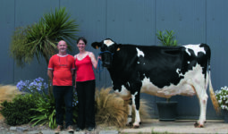 TD©FSRigaud-2.jpgDeux éleveurs avec une vache Holstein.