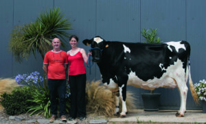 TD©FSRigaud-2.jpgDeux éleveurs avec une vache Holstein.