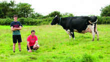 Deux éleveurs à côté dune vache Prim'Holstein dans un champ.