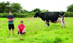 Deux éleveurs à côté dune vache Prim'Holstein dans un champ.