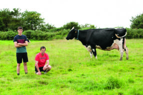 Deux éleveurs à côté dune vache Prim'Holstein dans un champ.