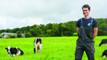 Étienne Le Roux avec ses vaches